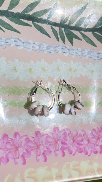 Puka Shells on Silver Clasp Earrings